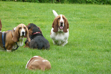 Klaerchen, Raul (Valentin), Ruppert (Anton) u. Valentin